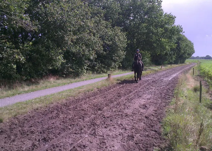 Vakantiehuis "Aan De Zandweg"